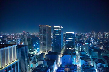 Obraz na płótnie Canvas 東京の夜景 
