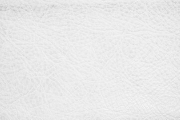 White genuine leather texture background. Empty luxury classic textures for decoration. Vintage skin natural suede.