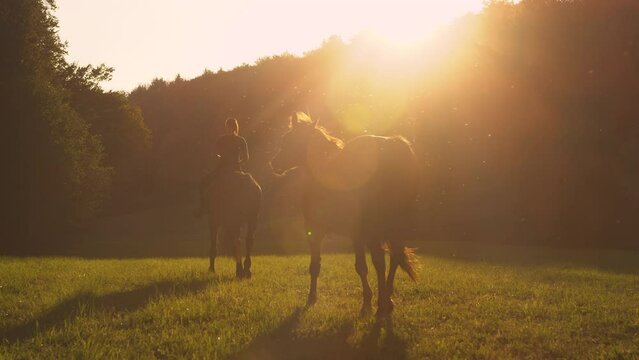 SLOW MOTION, SILHOUETTE, LENS FLARE: Golden summer evening sunbeams shine on female horseback rider exploring the countryside. Unrecognizable woman leads her horses out into the meadow at sunset.