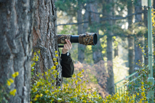 photographer with a large lens hiding behind a tree