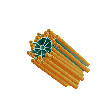Centriole cell organelle structure diagram