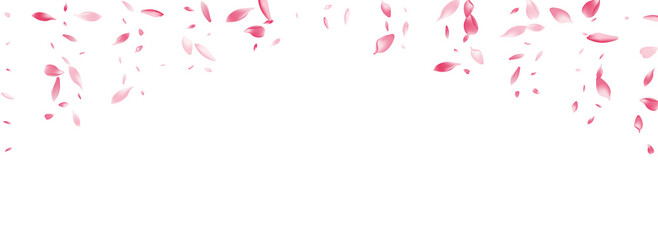 Purple Cherry Petal Vector White Background.