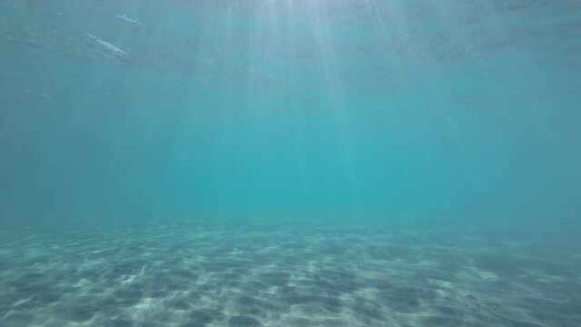 Slow motion, Dance vibrant sun rays penetrate through surface of water over sandy bottom. Underwater light creates  beautiful veil, consisting of sunlight. Sunset under surface of water above seabed