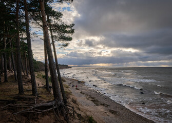 sea coast line with dark clouds and pines in the dunes