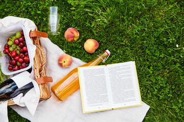 leisure and summer concept - close up of picnic basket with food and drinks and book on blanket on...