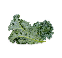 Fresh kale isolated on white background
