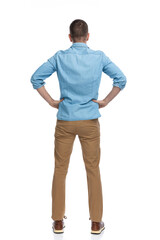 Fototapeta premium rear view of casual man with hands on hips standing