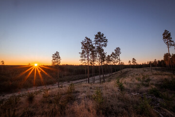 sunset sunstar in a forest hill