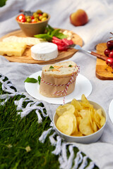 leisure, food and eating concept - close up of sandwich and snacks on picnic blanket in summer garden