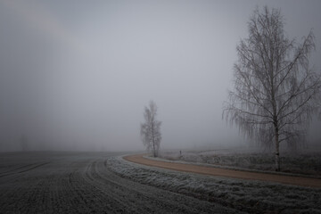 empty gravel road on a misty cold winter day with tree