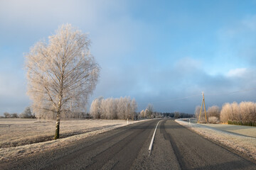 empty road on a cloudy day in winter with tree
