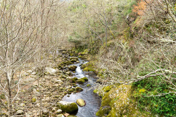 Pasarela del río Mao en el Cañón del Sil - Ourense - Galicia