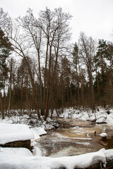 Brook in the snowy forest in winter
