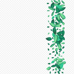 Olive Foliage Swirl Vector Transparent Background