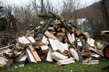 Freshly cut wood in the garden 