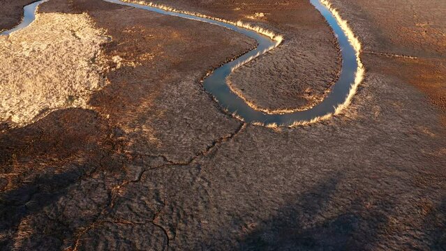 Burnt dry grass in the nature reserve of the river Seret, from a bird's eye view. Filmed in UHD 4k video.