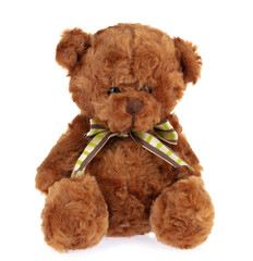teddy bear doll isolated on white background.