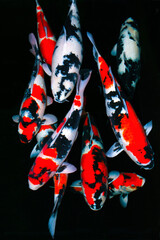 background with butterflies