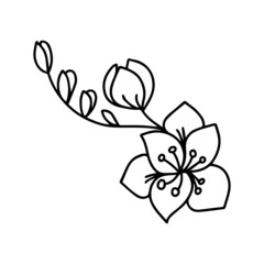 Fototapeta premium A hand-drawn icon of educational and social networks. vector. coloring book with black and white elements (page).