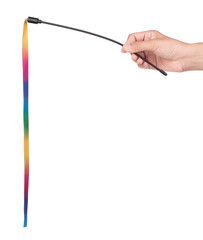 Hand holding Colorful Rod teaser wand plastic pet toys isolated on white background.