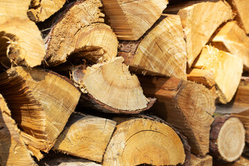 Naklejka premium Close up of chopped wood storage, firewood for domestic heating