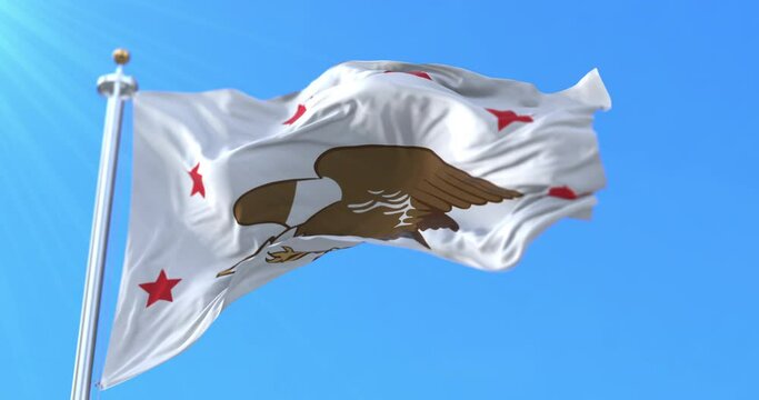 Republic of Madawaska Flag. Loop