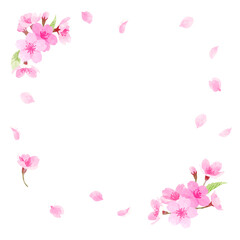手描き水彩　桜のフレーム　正方形