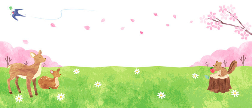 Fuwari 写真 画像 アセット Adobe Stock