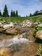 Stream in Carpathian mountains Ukraine Buy photo donate to UA army 
