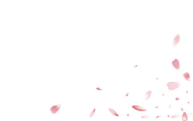 Pink Lotus Petal Vector White Background. Pastel