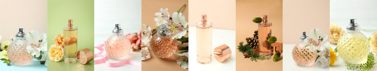 Photo collage of perfumes on different backgrounds