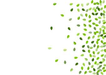 Green Leaf Ecology Vector Border. Organic Foliage