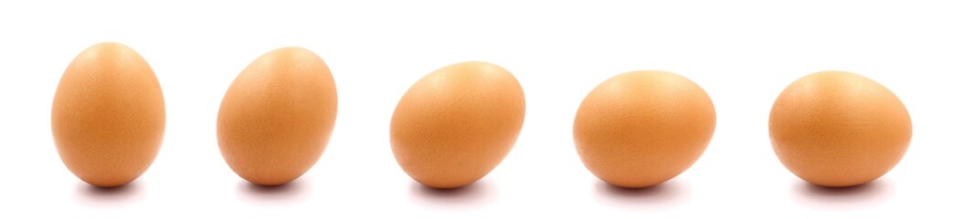 set single brown chicken egg.	