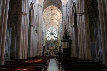 gothic cathedral (our lady of assumption) in luçon (france)