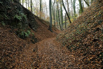 Schöner laubbedeckter Hohlweg im Hain bei Rudolstadt in Thüringen Herbst