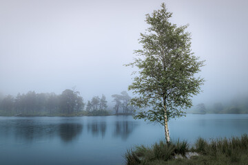 Lake District England United Kingdom 