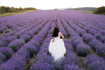 A young brunette girl with long hair in a white wedding dress runs along a large lavender field...