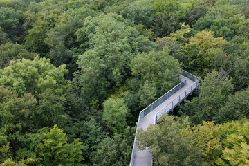 Fototapeta premium Baumkronenpfad