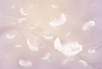 Air wallpaper with feathers and a graphic background. Delicate feathers floating on a pink background. Illustration with feathers for wallpaper.