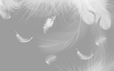 Fototapety  Illustration with graphic pens on gray background. Air feathers plot for photo wallpaper. 3d wallpaper.