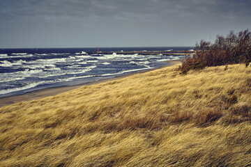 Fragment wybrzeża, trawa na brzegu morza, wydmy