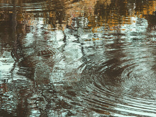 abstract reflection of tree on water in the park, natural background vintage tone