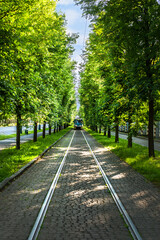 straight direction of tram railways in Hradchany on the alley between two lines of trees