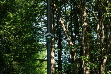 FU 2020-09-13 Herchen 89 Am Baum hängt ein Eisenbahnschild aus Holz