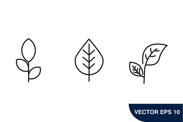 leaf icons  symbol vector elements for infographic web