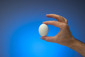 Fresh raw white egg held in hand by Caucasian male. Close up studio shot, isolated on blue background