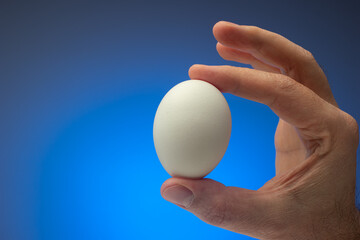 Fresh raw white egg held in hand by Caucasian male. Close up studio shot, isolated on blue background