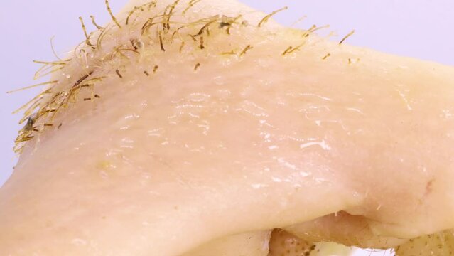 Boiled pork meat and hair rotating. White background.