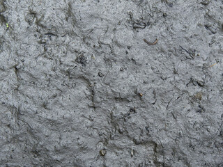 texture of wet mud on the ground