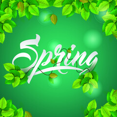Spring background with fresh green realistic frame  leaves.
